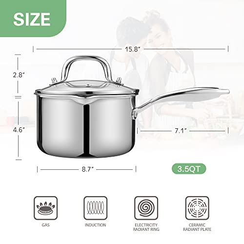 3.5 Quart Stainless Steel Pot Saucepan with Glass Strainer Lid (3.5 Quarts)