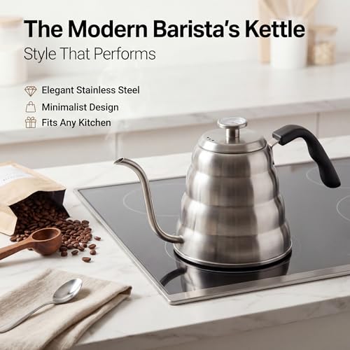 Gooseneck Kettle (Silver / 1.2L)