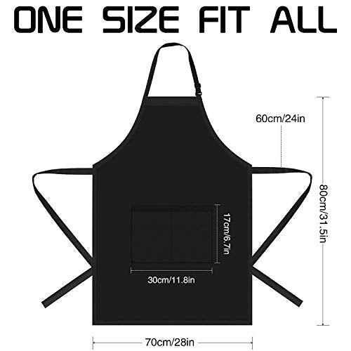 Funny Aprons for Men (The Grill Master)