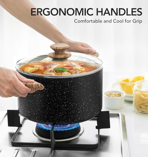 6 Quart Stock Pot with Lid (Black / 6 Quarts)