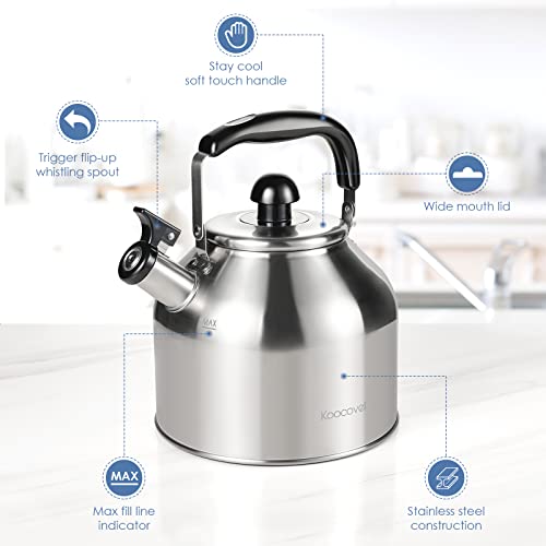 304 Stainless Steel Tea pot Kettles (4.2 Quarts)