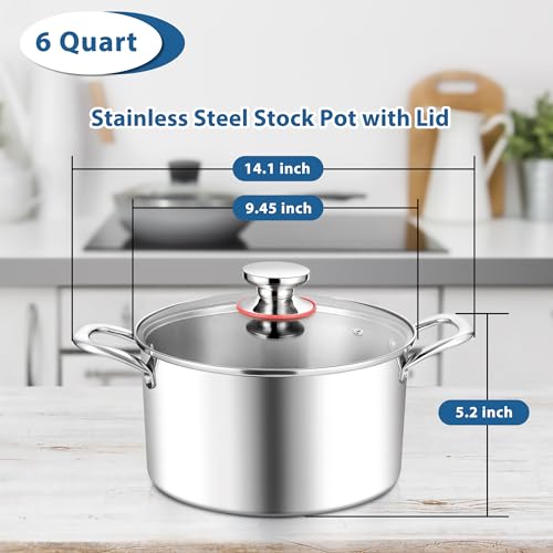 6 Quart Stock Pot (6 Quarts)