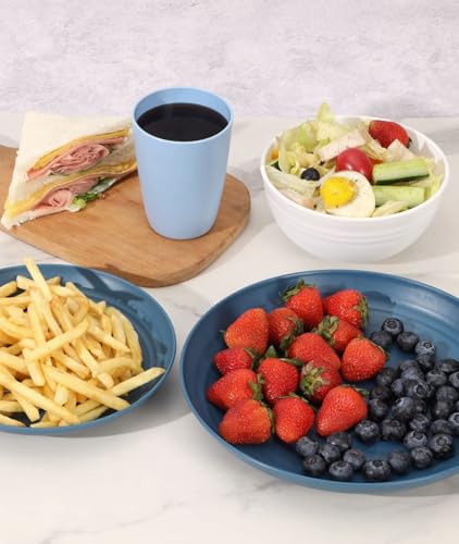 16 Piece Plates and Bowl Set for 4 (Blue / Service For 4)