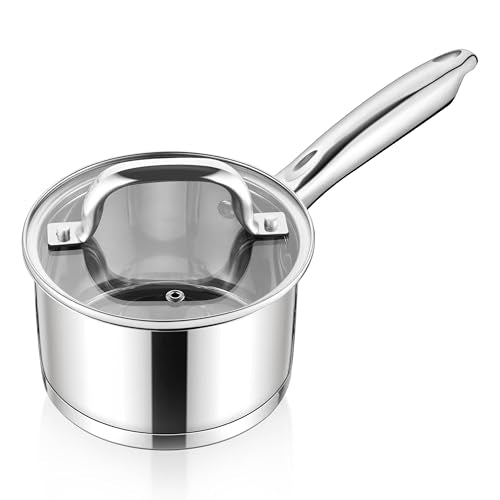 1 QT Small Saucepan with Lid (1 Quarts)