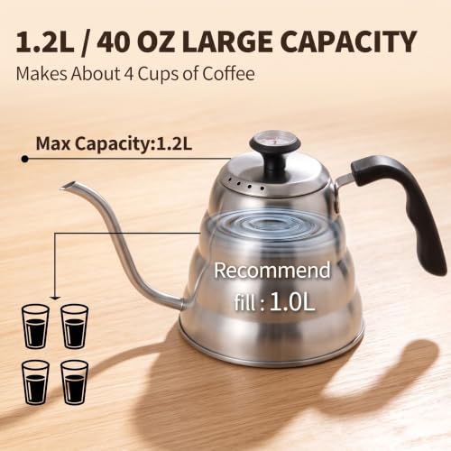 Gooseneck Kettle with Thermometer (Silver)