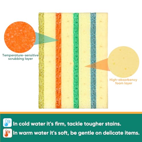 6 Pack Scrub Sponge (Multi-Layer)