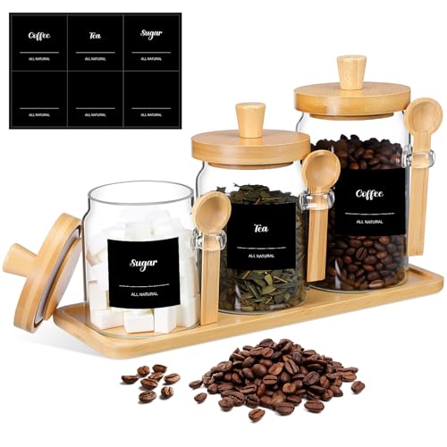 3 Pcs Glass Coffee Container Set (13.5,20,25 oz)