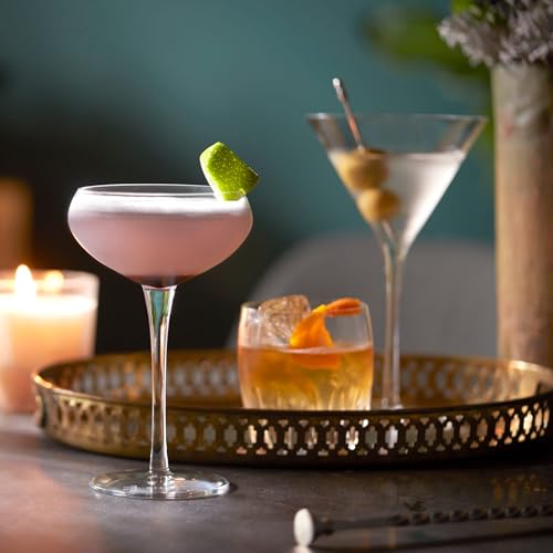 Signature Kentfield Coupe Cocktail Glasses Set of 4 (Signature Kentfield 4)