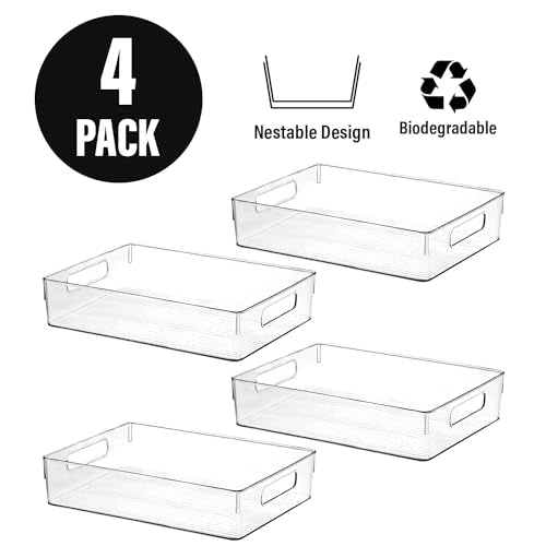 Large Clear Plastic Storage Bins (12.8 X 9.7 X 3.5)
