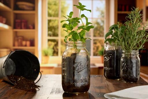 Wide Mouth Glass Mason Jars with Lids and Bands (Quart / 32 Ounce (Pack of 36))