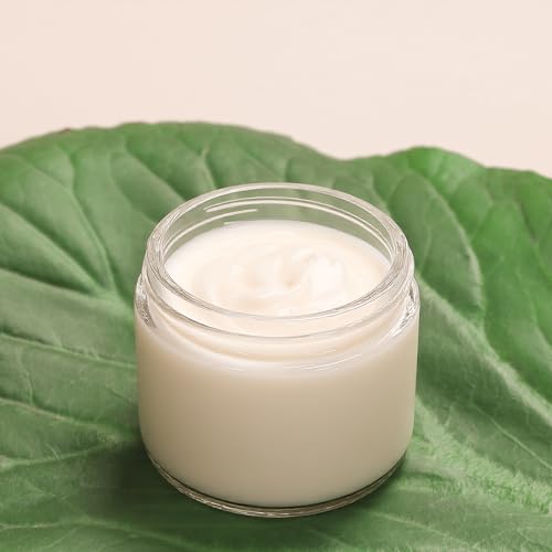 2oz Jars with Lids (Clear-White Lid)