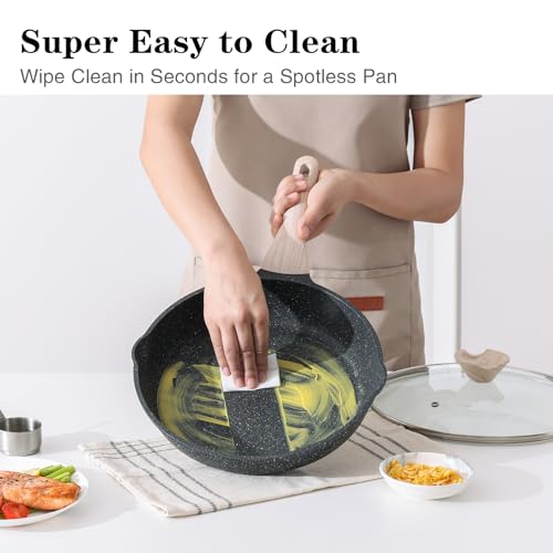 Non Stick Frying Pan Skillet (Classic Granite / 12.5 Inch)