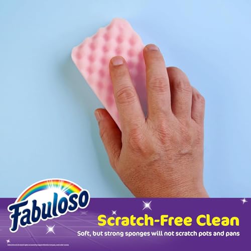 Scratch Free Kitchen Dish Sponges (Purple / 4 Count (Pack of 2))