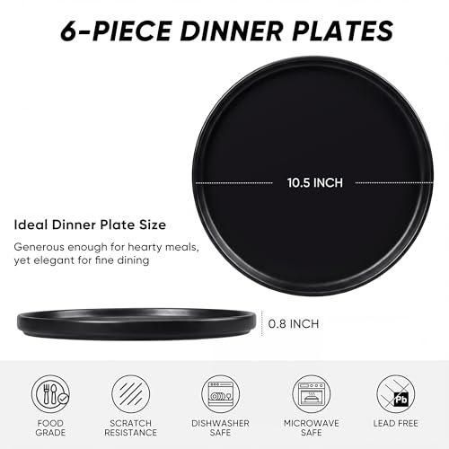 Dinner Plates Set of 6 (Matte Black / 10.5'')