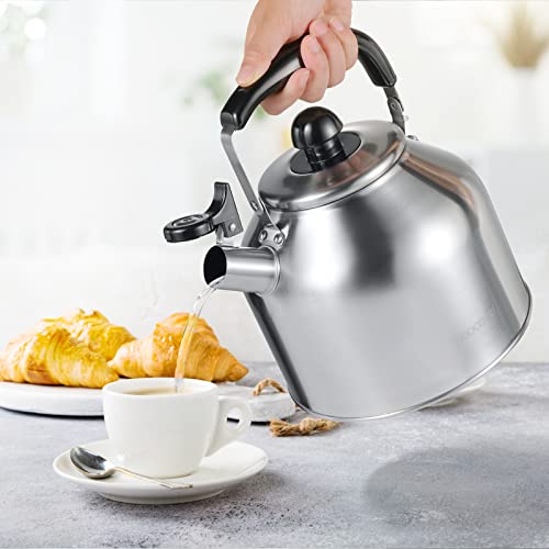 304 Stainless Steel Tea pot Kettles (4.2 Quarts)