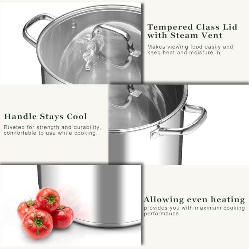 16 Quart Stock Pot with Lid (16 Quarts)