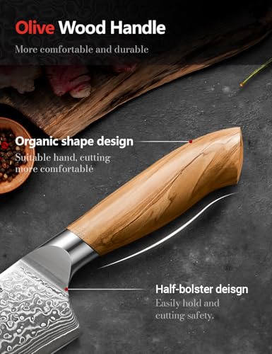 3 Piece Japanese Damascus Steel Knife Set