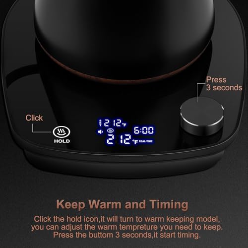 Gooseneck Electric Kettle (Black)