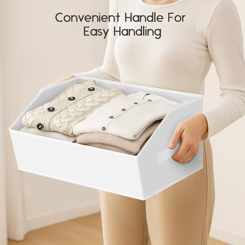 Large Closet Organizers and Storage Bins (White / 6 Pack)