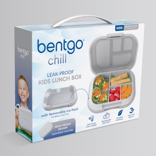 Chill Kids 4 Compartment Bento Box Leakproof Lunch Box (Gray)