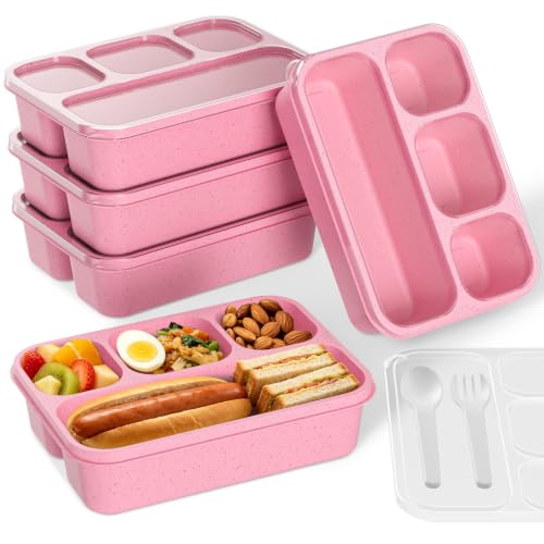 Bento Box 5 Pack (Pink)