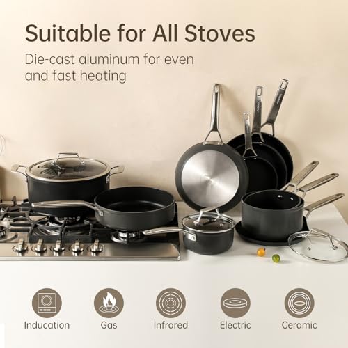 10 Inch Nonstick Frying pan with Lid (10-Inch)