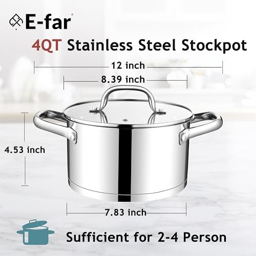4 Quart Stock Pot with Lid (4 Quarts)