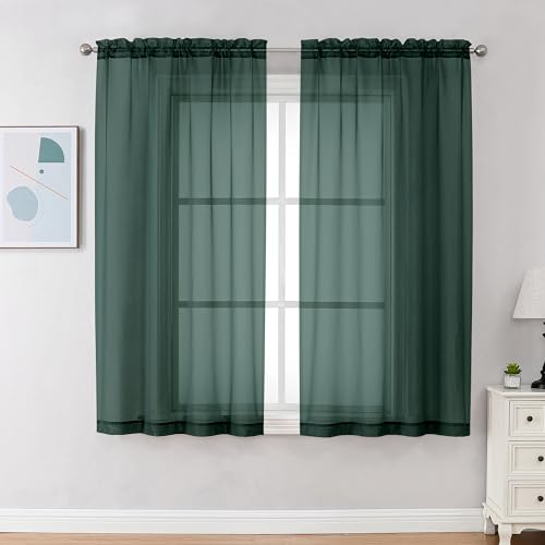 Hunter Green Sheer Curtains 54 Inch Long 2 Panels Set (Hunter Green / 42"W x 54"L (Pack of 2))