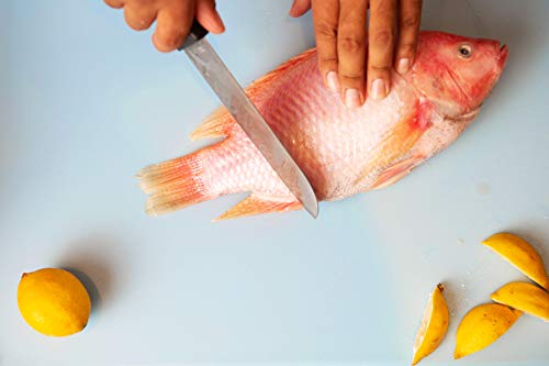 18 x 12 Large Blue Plastic Cutting Board for Fish (Blue)