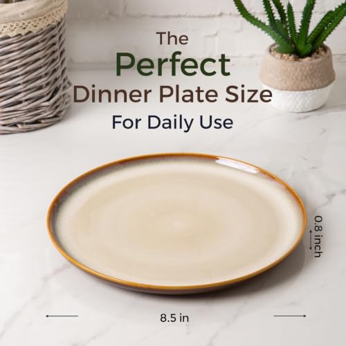 Ceramic Plate Set of 6 (8.5 Inch for 6 / Reactive-Kahki)