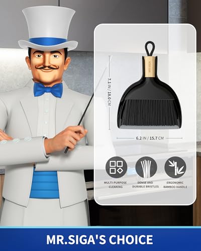 Mini Dustpan and Brush Set (Black)