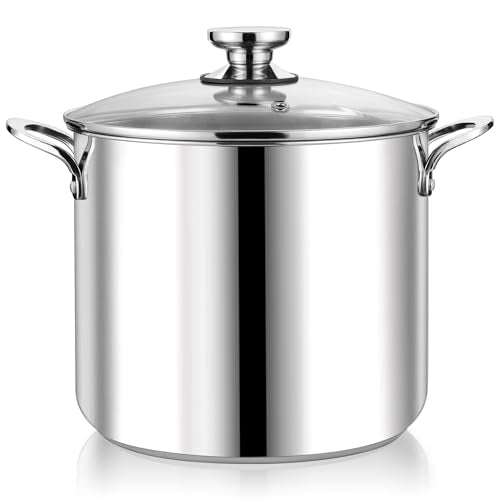 12 Quart Stock Pot with Lid (12 Quarts)