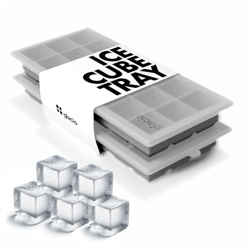 Ice Cube Tray with Lids (Gray)