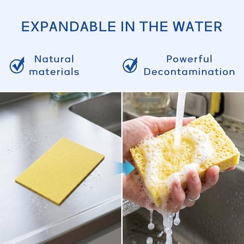 6 Pack Cellulose Scrub Sponges Non (Multicolor / 6 Count (Pack of 1))