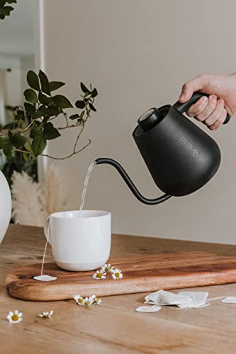 Stainless Steel Gooseneck Coffee & Tea Kettle