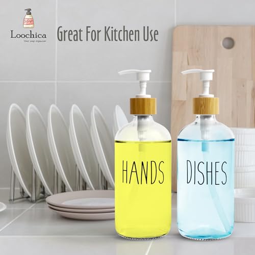 2 Pack Clear Glass Soap Dispenser with Plastic Pump (A05-2 X Clear)