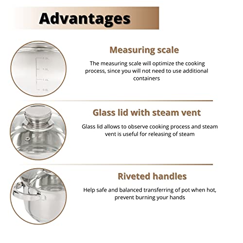Standard 2 Quart Stainless Steel Stock Pot with Glass Lid (2 Quarts)