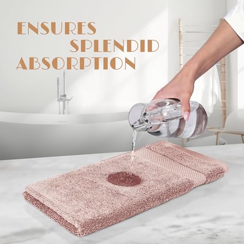 Wealuxe Pink Washcloths 12x12 Inch (Pink / Washcloth 12-Pack)