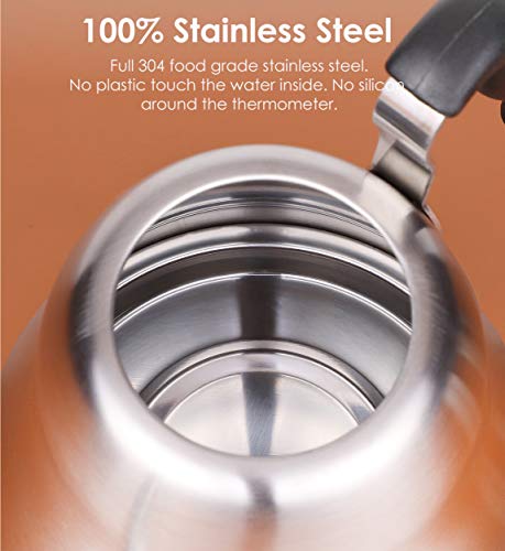 Tea Kettle with Thermometer (Brushed Silver（with Thermometer）)