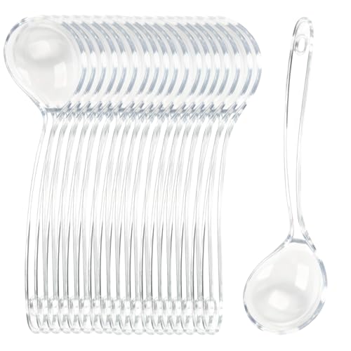 Large Plastic Serving Spoons (Clear)