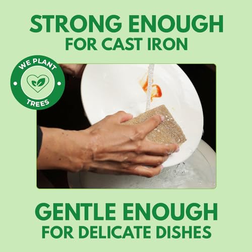 Natural Kitchen Sponges Pack of 20 (20 Pack)