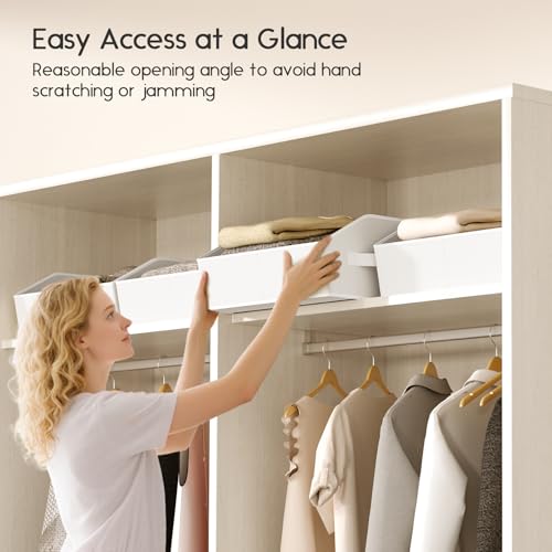 Large Closet Organizers and Storage Bins (White / 6 Pack)
