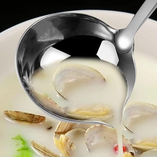 Soup Ladle 304 Stainless Steel Heavy Ladle with Pour Spout for Soups