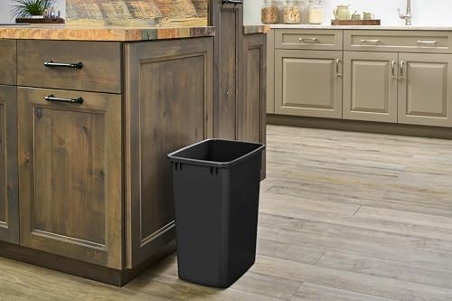 Double Pullout Garbage Trash Cans for Kitchen Cabinets (2 Pack / Black)