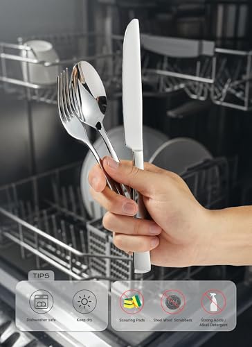 20 Piece Flatware Sets (Silver / 20 Piece)