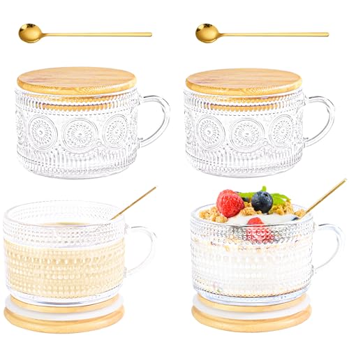 Glass Coffee Mugs with Lid 14 oz Clear Coffee Cups with Handle Spoon (Hobnail*2+Sunflower*2)