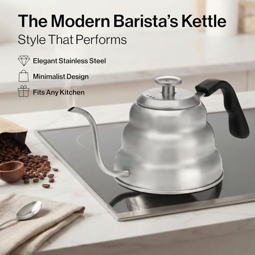 Gooseneck Kettle (Silver / 1.0L)