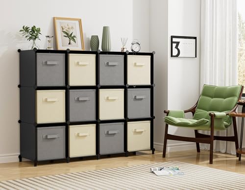 Closet Organizers and Storage (Black)