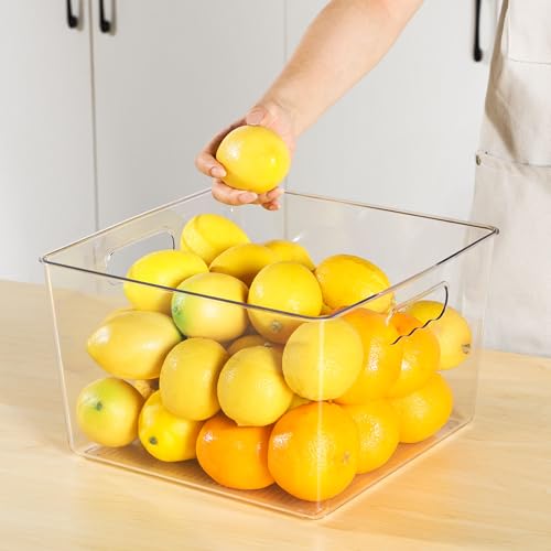 10 Pack Extra Large Clear Storage Bins (11in)