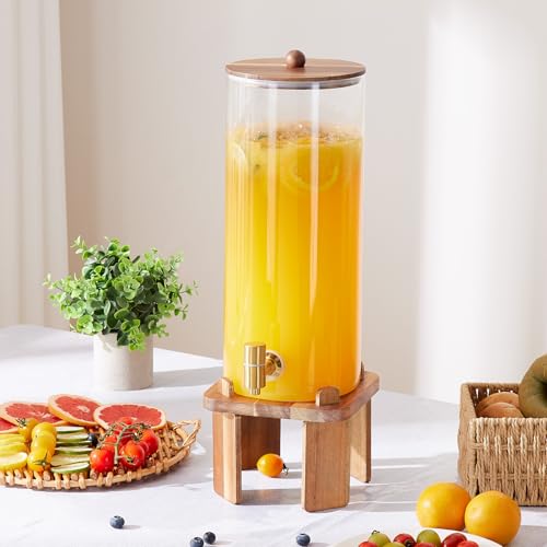 2 Gallon Large Drink Dispenser for Parties (2 gallon)